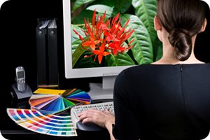 Graphic Designer at Detroit Print Shop